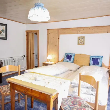 Plattnerhof By Interhome Oetz